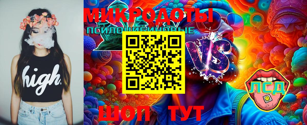 Галлюциногенные грибы мухоморы Сланцы
