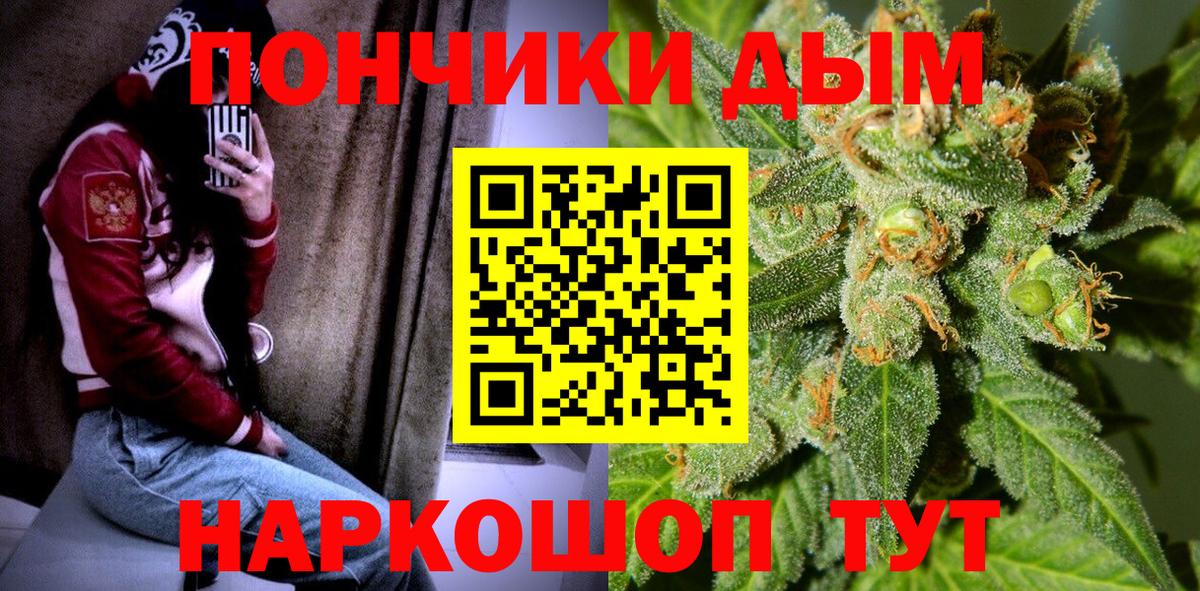 Шишки марихуана планчик Сланцы
